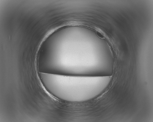 X0000052631429200507011022