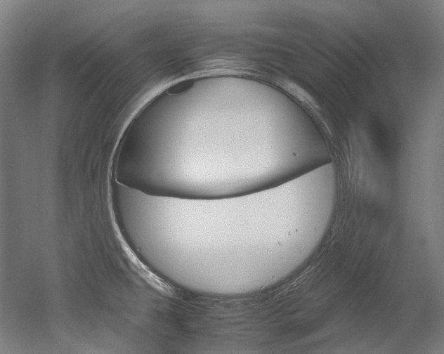 X0000052631431200507011022