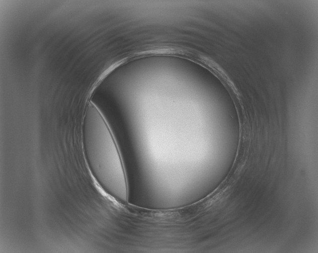 X0000052631433200507011022