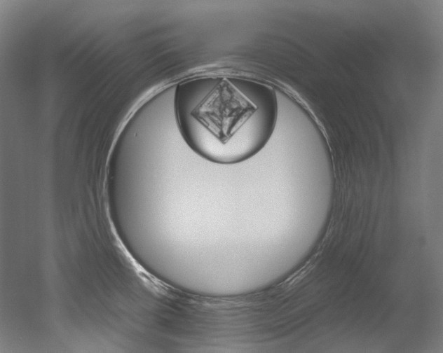 X0000052631434200507011022