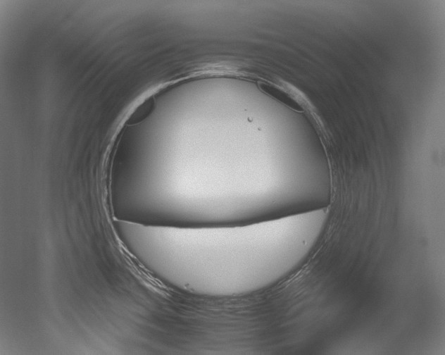 X0000052631435200507011022