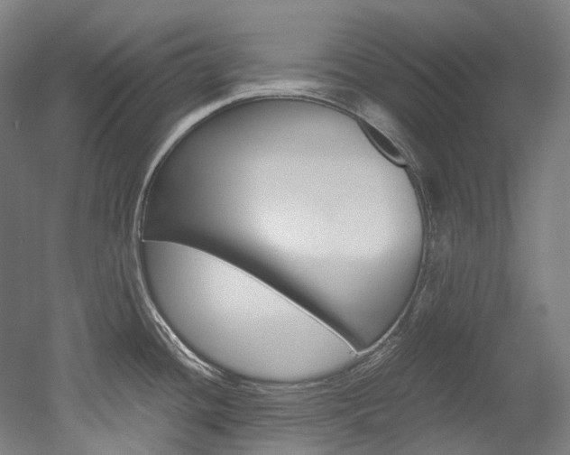 X0000052631436200507011022