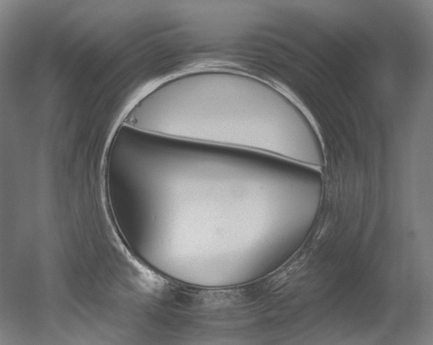 X0000052631437200507011022