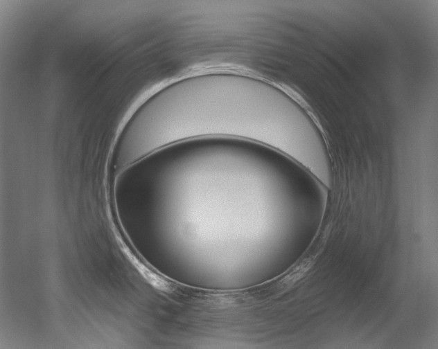 X0000052631438200507011022