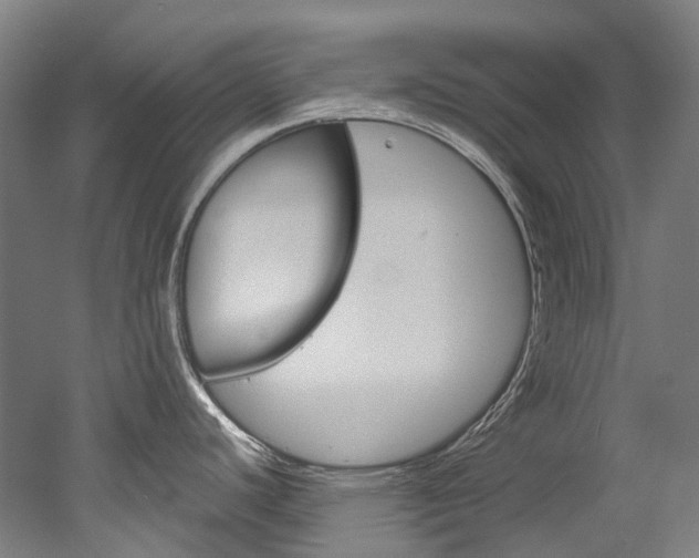 X0000052631440200507011022