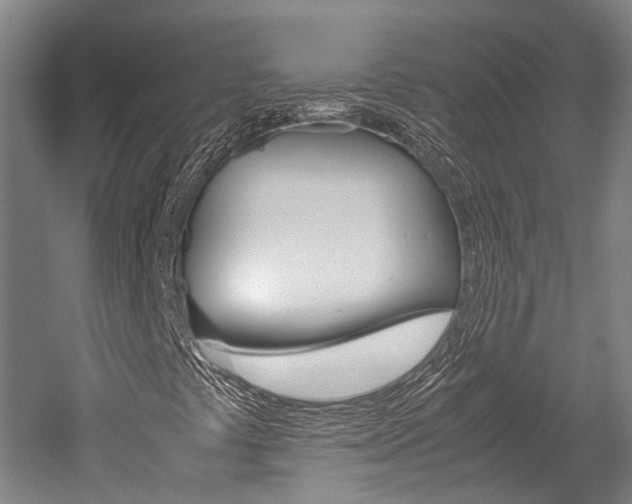 X0000052631441200507011021