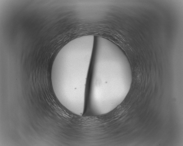 X0000052631442200507011021