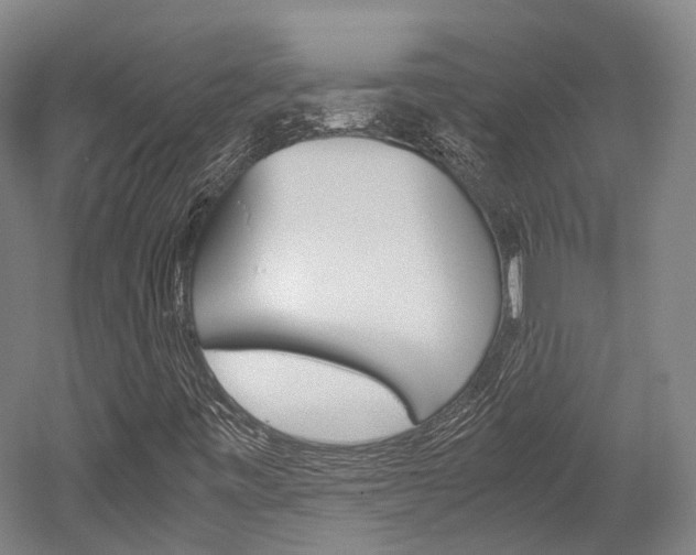 X0000052631443200507011021