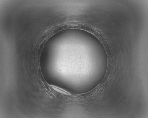 X0000052631445200507011021
