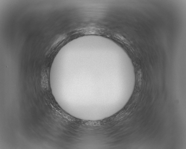 X0000052631446200507011021