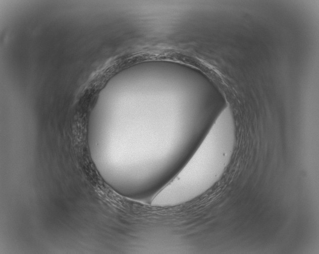 X0000052631447200507011021