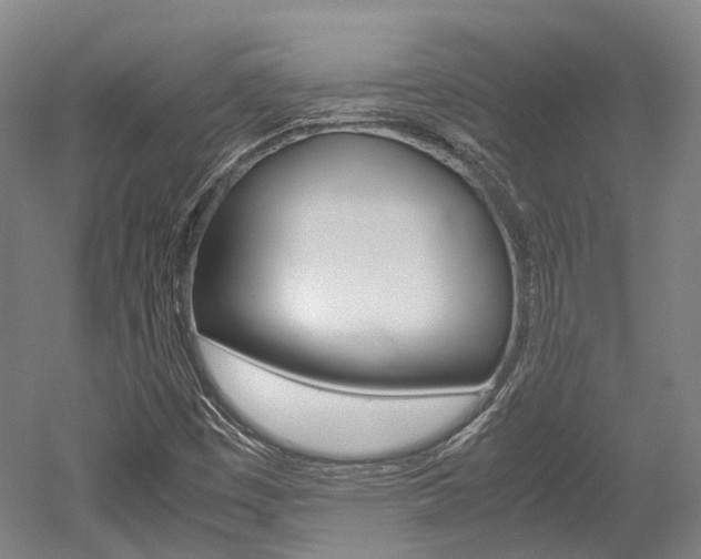 X0000052631449200507011021