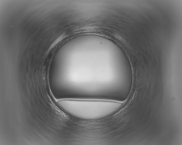 X0000052631450200507011021