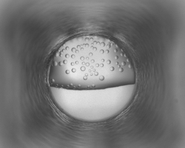 X0000052631451200507011021