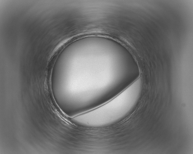 X0000052631452200507011021