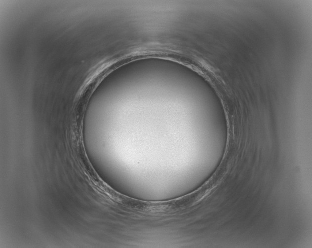 X0000052631453200507011021