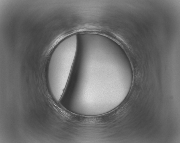 X0000052631455200507011021