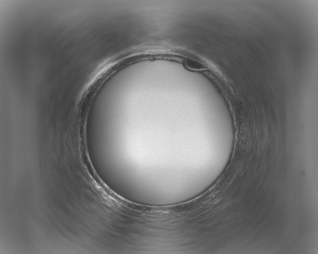 X0000052631456200507011021