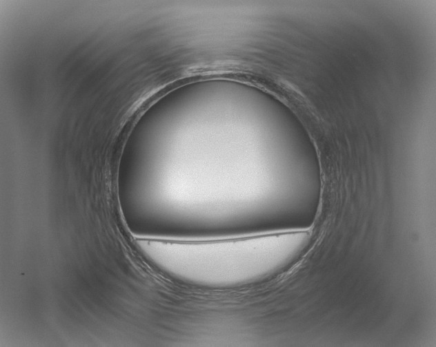 X0000052631457200507011021