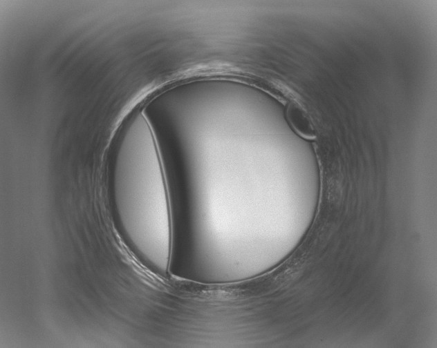 X0000052631458200507011021