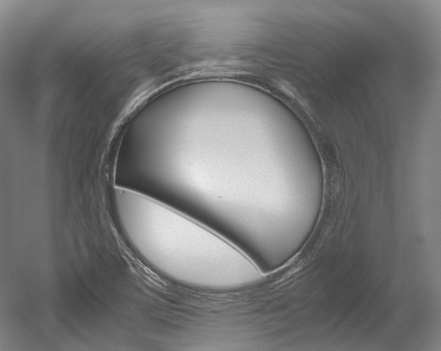 X0000052631459200507011021