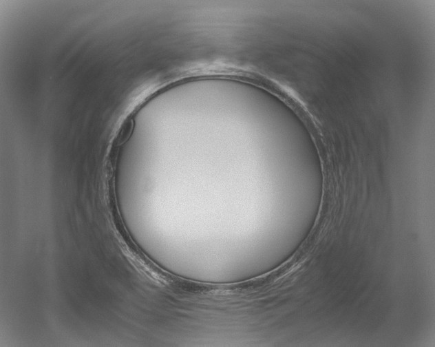 X0000052631463200507011021
