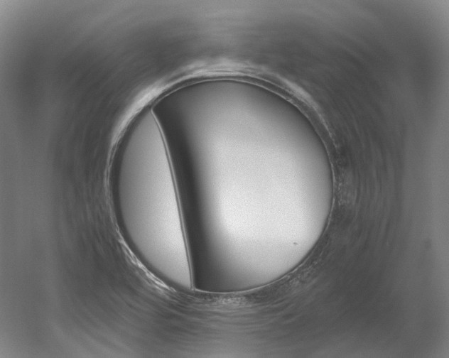 X0000052631464200507011021
