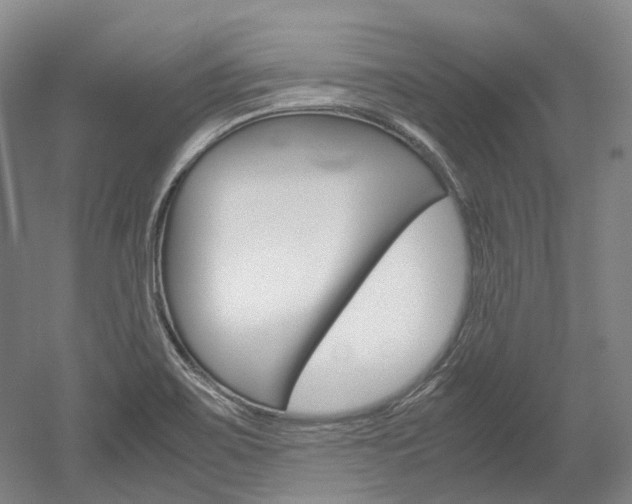 X0000052631467200507011021