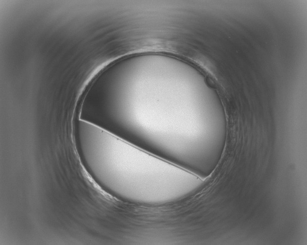 X0000052631468200507011021