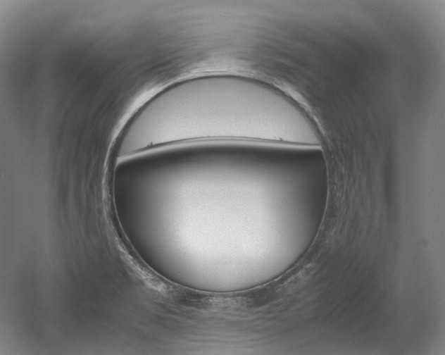 X0000052631469200507011021