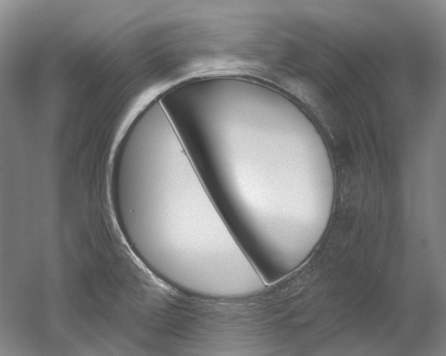 X0000052631472200507011021
