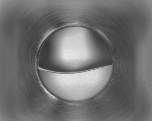 X0000052631476200507011021
