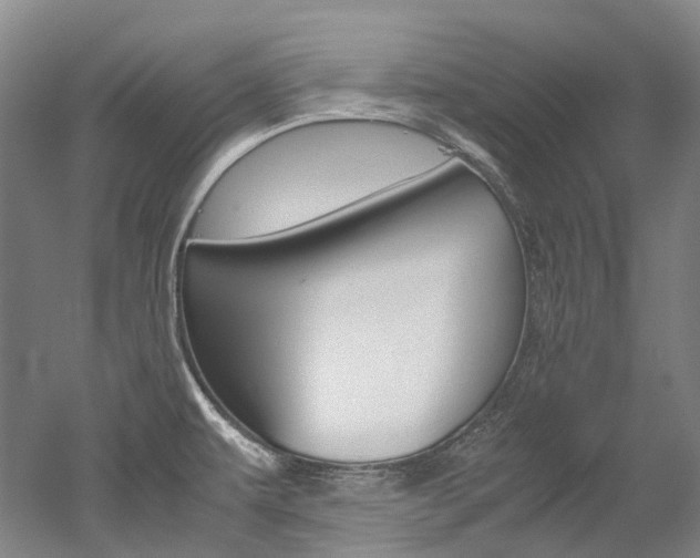 X0000052631479200507011021