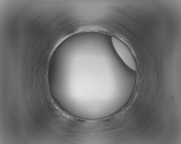 X0000052631481200507011021