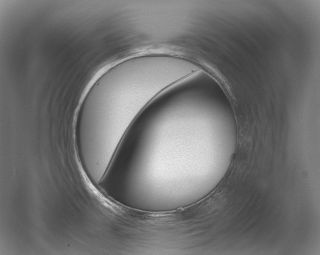 X0000052631483200507011021