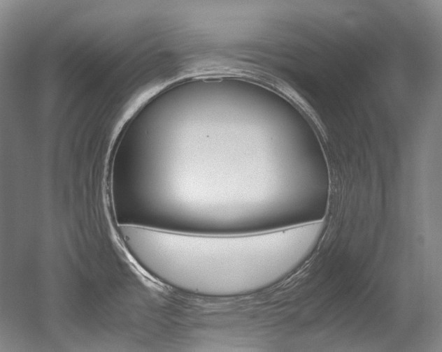 X0000052631485200507011020