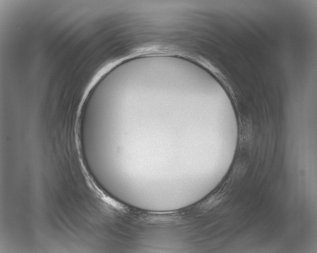 X0000052631486200507011020