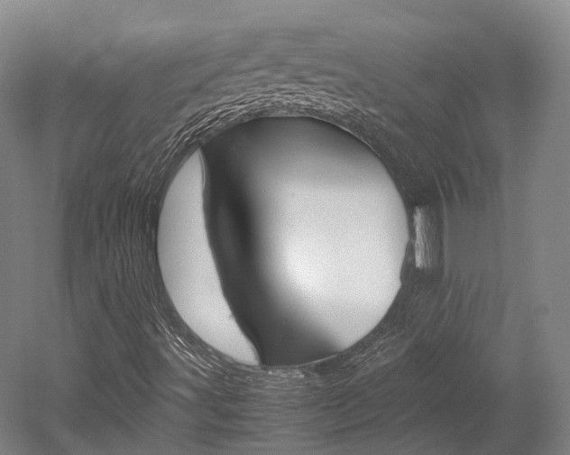 X0000052631491200507011020