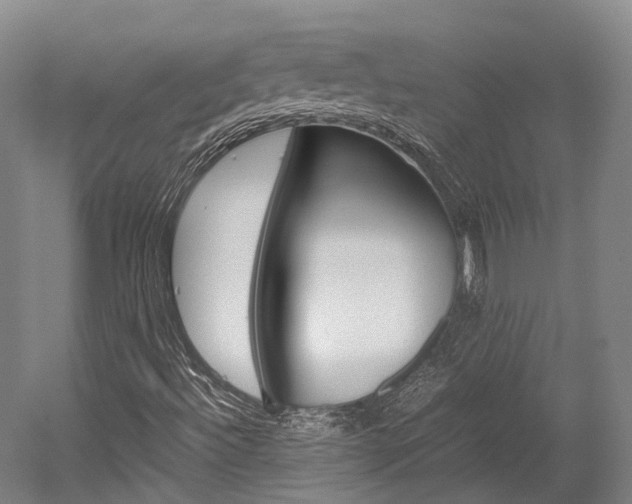 X0000052631492200507011020
