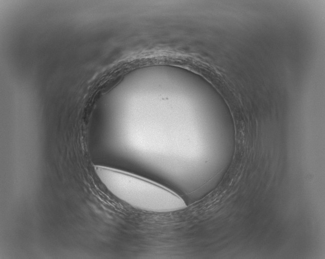X0000052631493200507011020