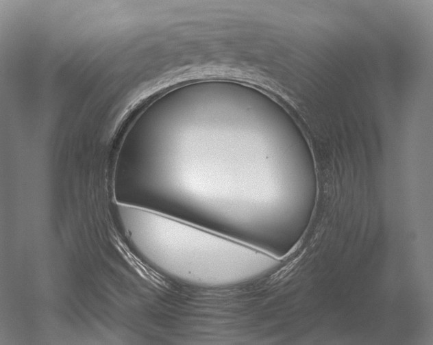X0000052631499200507011020
