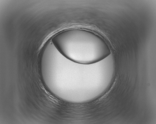 X0000052631501200507011020