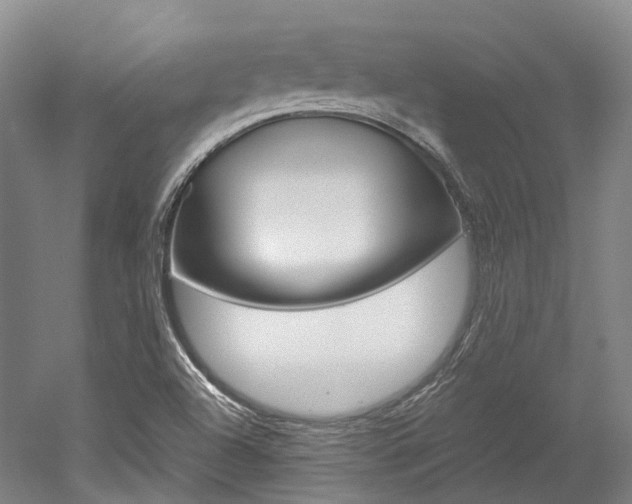 X0000052631504200507011020