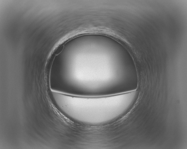 X0000052631506200507011020