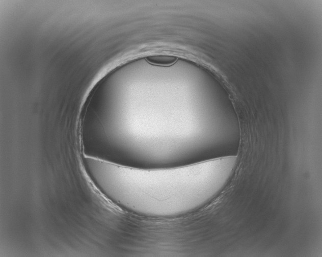 X0000052631522200507011020