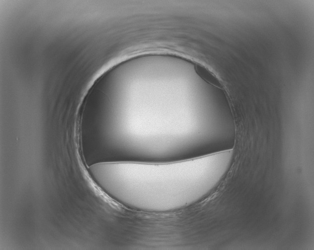 X0000052631526200507011020