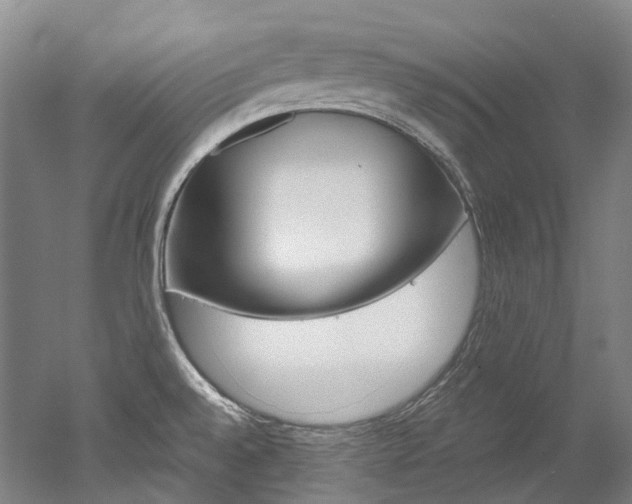 X0000052631528200507011020