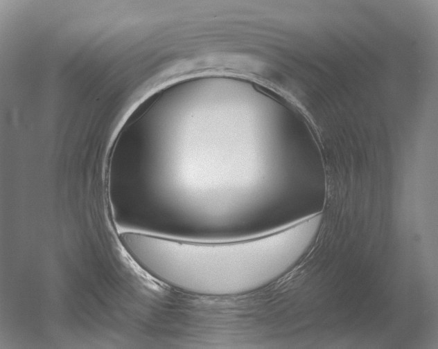X0000052631532200507011020