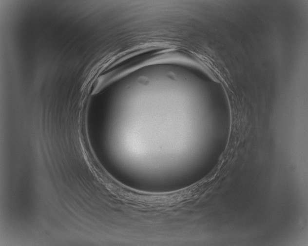 X0000052630001200507011332