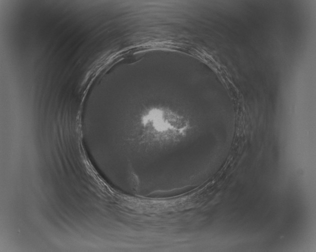 X0000052630002200507011332